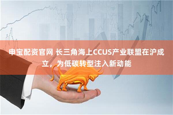 申宝配资官网 长三角海上CCUS产业联盟在沪成立，为低碳转型注入新动能