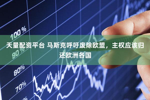 天量配资平台 马斯克呼吁废除欧盟，主权应该归还欧洲各国
