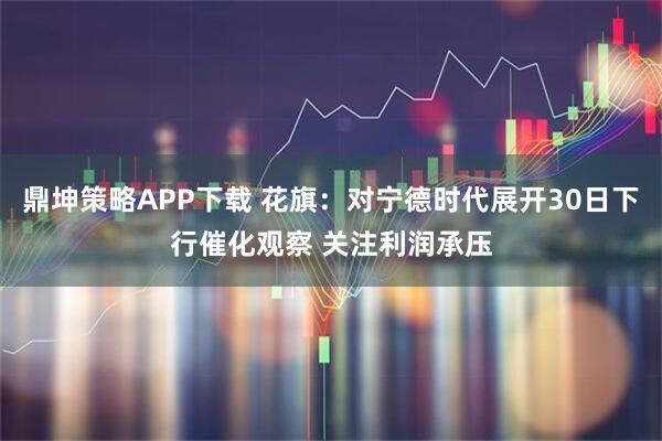 鼎坤策略APP下载 花旗：对宁德时代展开30日下行催化观察 关注利润承压