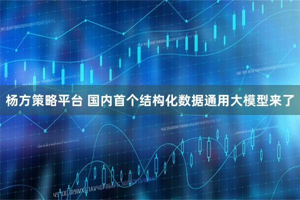 杨方策略平台 国内首个结构化数据通用大模型来了